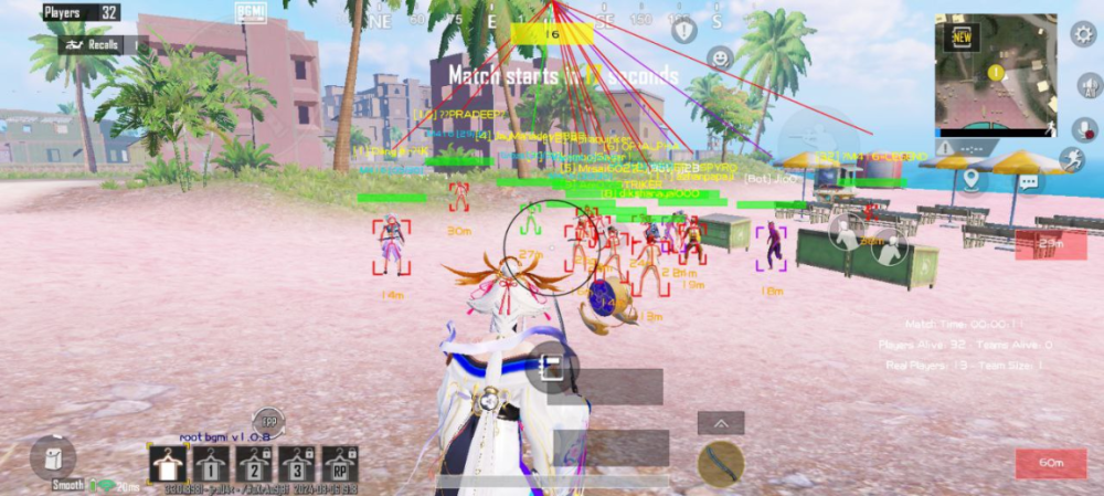 和平精英直装小灰灰