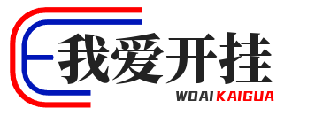 我爱开挂网